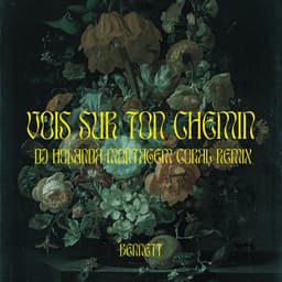 Vois sur ton chemin - DJ Holanda MONTAGEM CORAL Remix album cover
